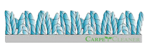 saksonia